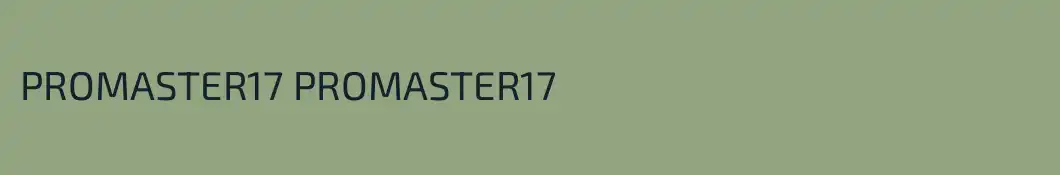 PROMASTER17 PROMASTER17